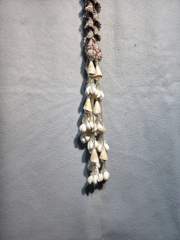 punjabi_hair_prandi