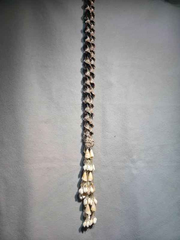 punjabi_hair_prandi