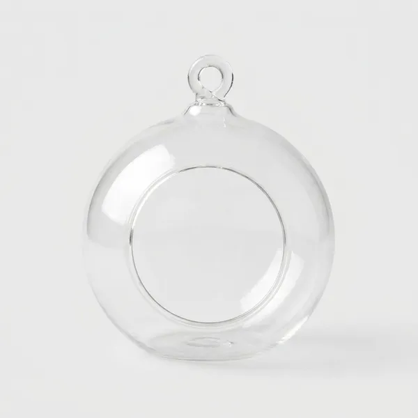Glass_Globe_Hanging_Terrarium_-_Pack_Of_4