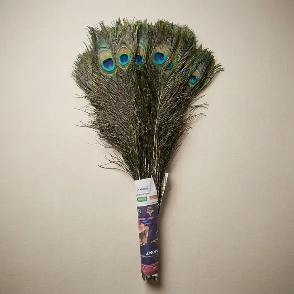 Natural_Peacock_Feather_Decorative_Bundle