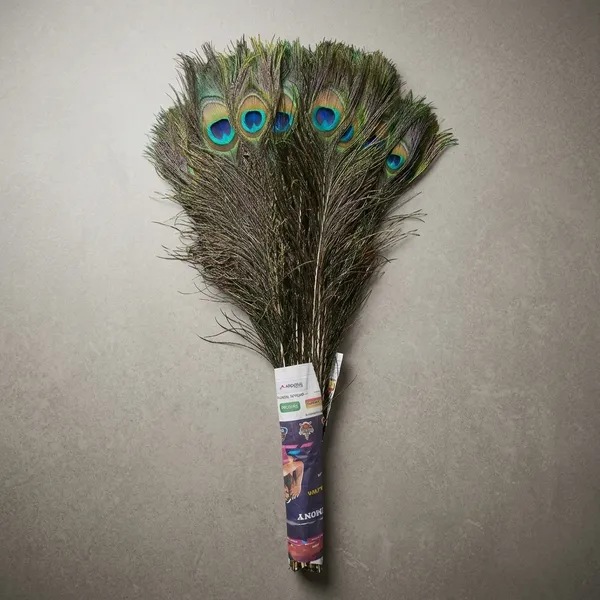 Natural_Peacock_Feather_Decorative_Bundle