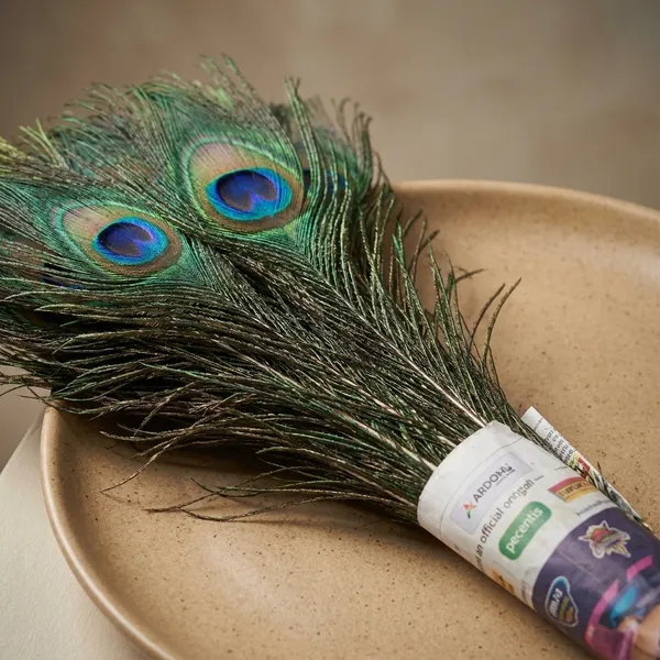 Natural_Peacock_Feather_Decorative_Bundle