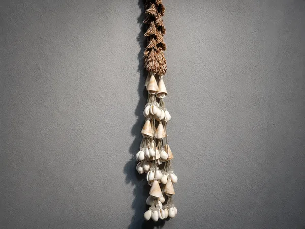 punjabi_hair_prandi