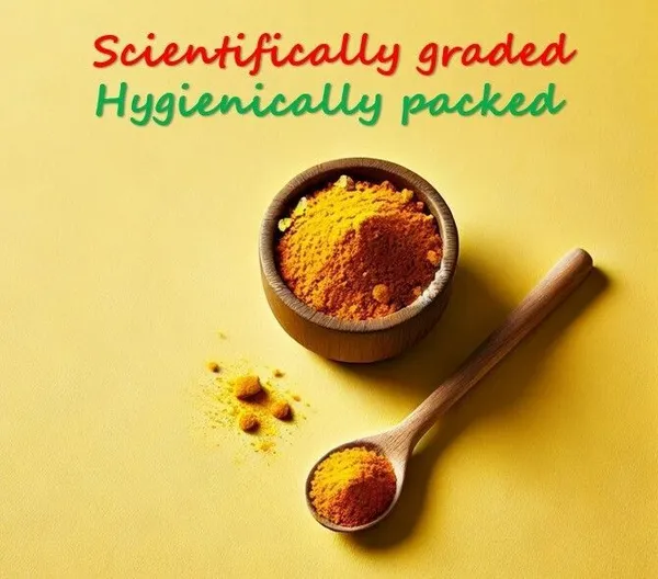 Kyansh_Turmeric_Powder_250_G