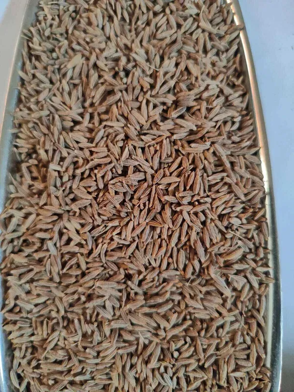 Kyansh_1000Gm_Prime_Cumin_Seed