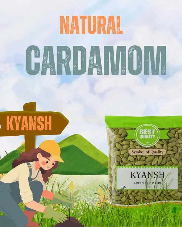 Kyansh_Premium_Green_Cardamom_For_Eating,_Cooking_(100_G)