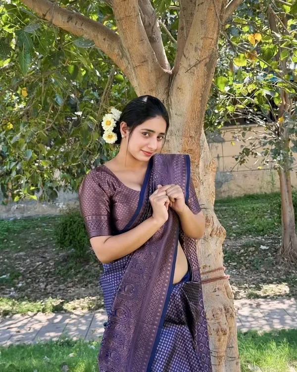 Navy_Blue_Banarasi_Soft_Lichi_Silk_Saree_For_Women