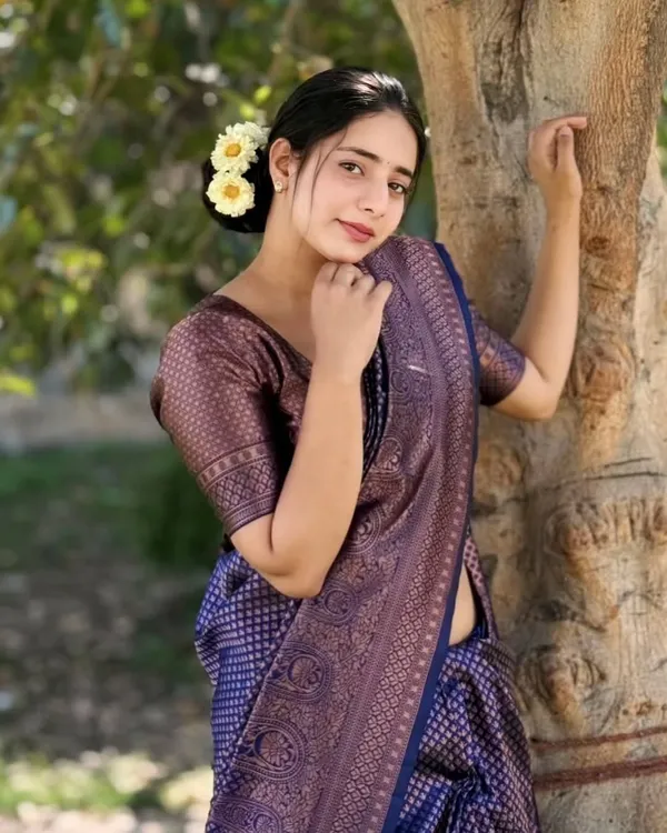 Navy_Blue_Banarasi_Soft_Lichi_Silk_Saree_For_Women