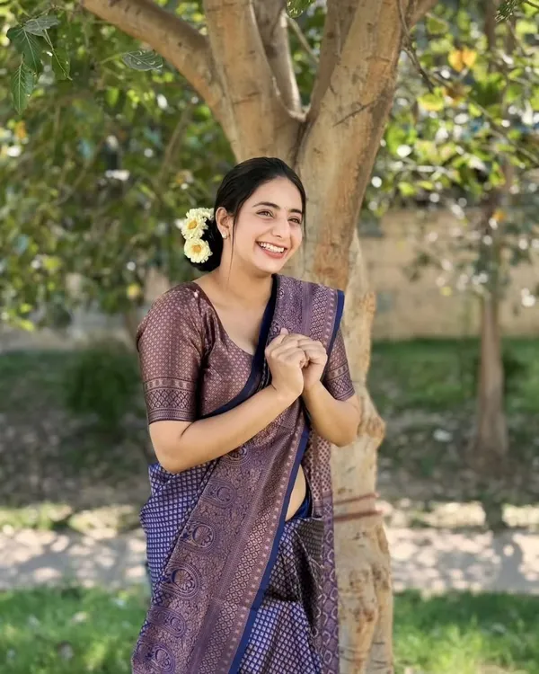 Navy_Blue_Banarasi_Soft_Lichi_Silk_Saree_For_Women