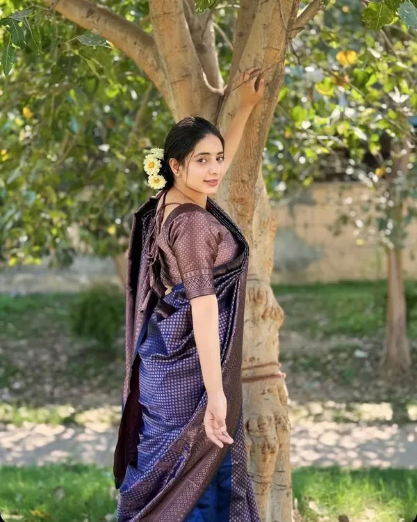 Navy_Blue_Banarasi_Soft_Lichi_Silk_Saree_For_Women