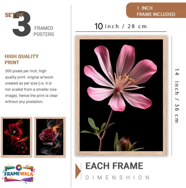 Wooden_Contemporary_Red_Floral_Macro_Framed_Wall_Art_Set_Of_3