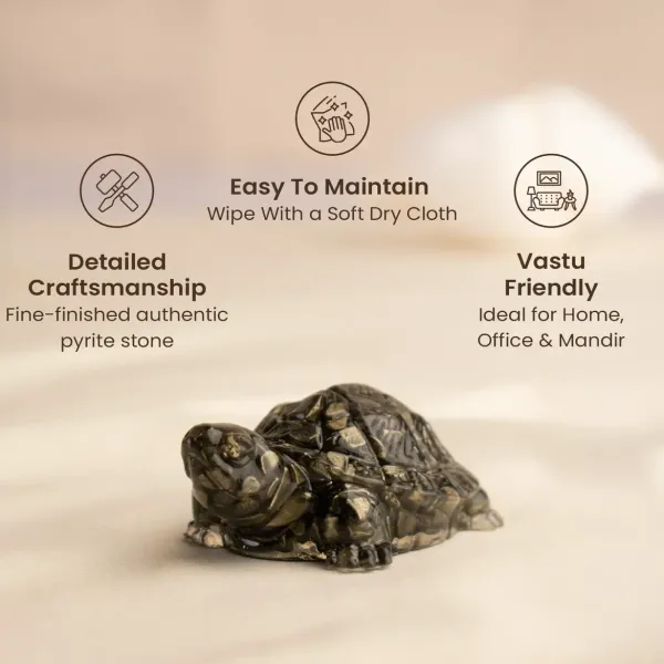 Pyrite_Turtle_