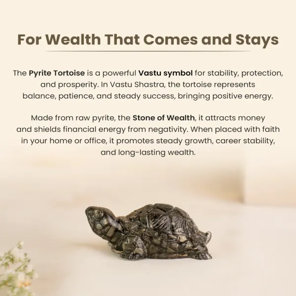 Pyrite_Turtle_