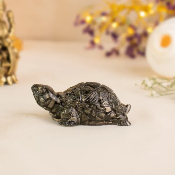 Pyrite_Turtle_