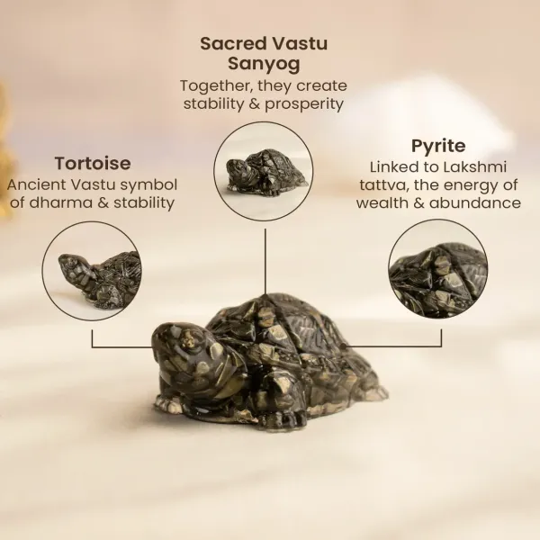 Pyrite_Turtle_