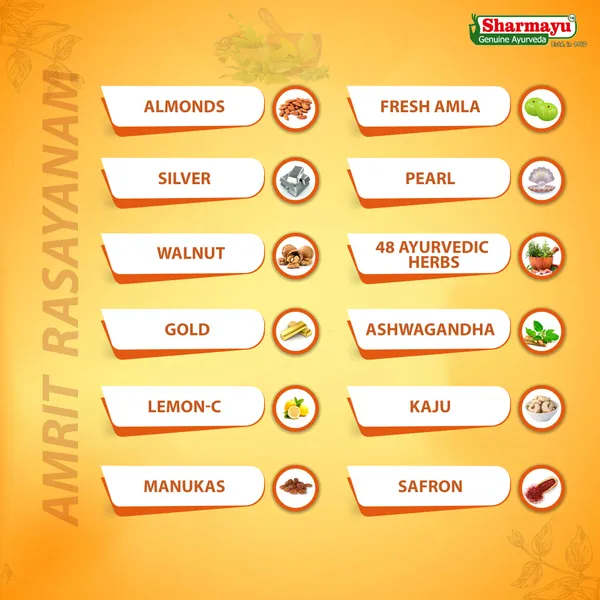 Suwarna_Amrit_Rasayanam_500_Gm