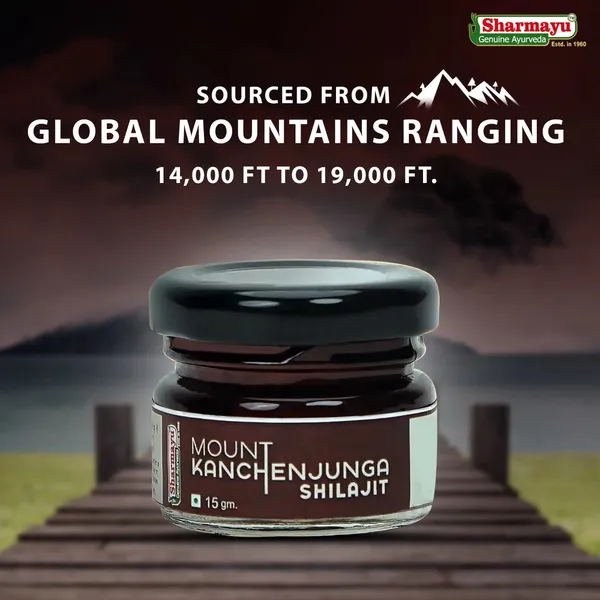 Mount_Kanchenjunga_Shilajit_20_Gm