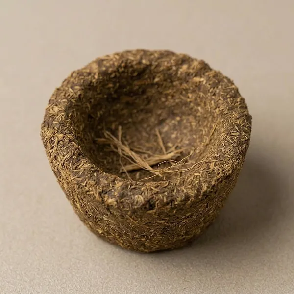 Aastha_Havan_Bowl_-_Pack_Of_3