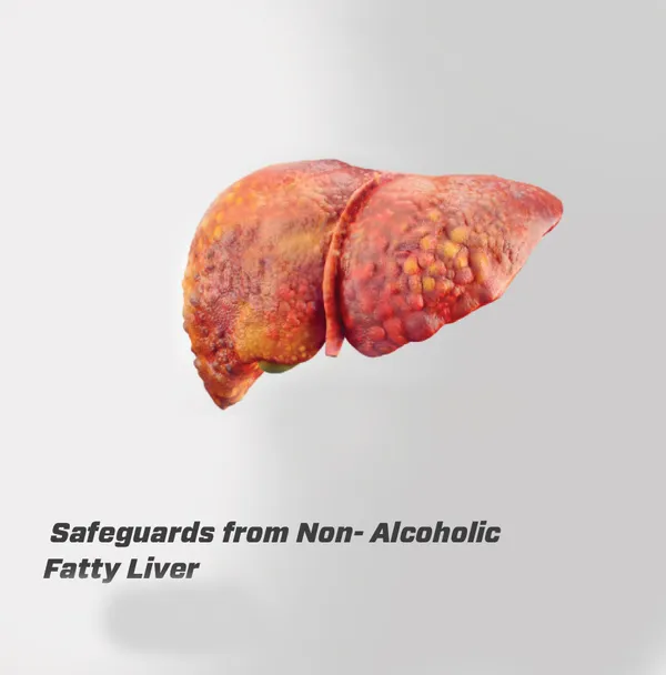 Best_Ayurvedic_Medicine_Online_Treatment_For_Fatty_Liver_Kidney_Liver_Cirrhosis