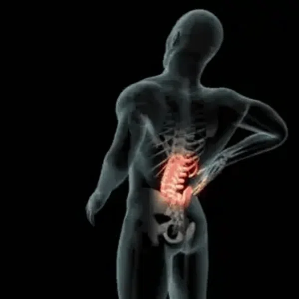 7_Days_Result_Joint_Pain_Relief_Kit_28_Herbs_Diet_Chart