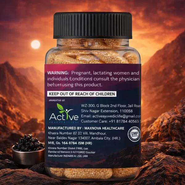 Active_Ayurvedic_Life_Best_Ayurvedic_Medicine_For_Himalyan_Shilajit