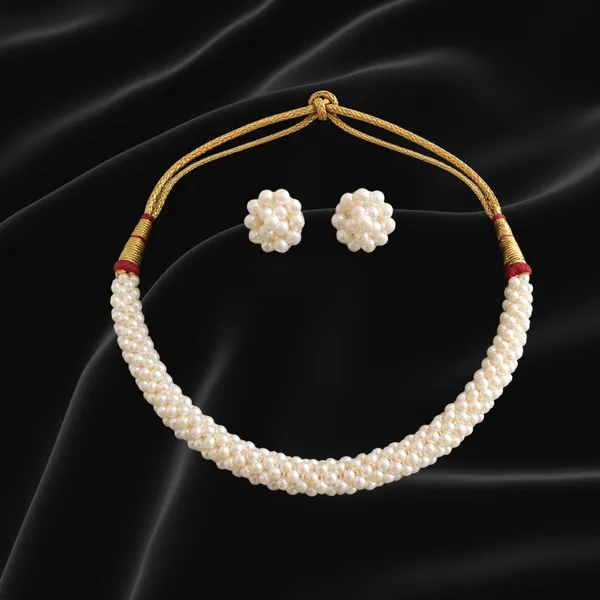 Elegant_White_Embroidered_Sheer_Saree_with_Pearl_Jewelry_Set
