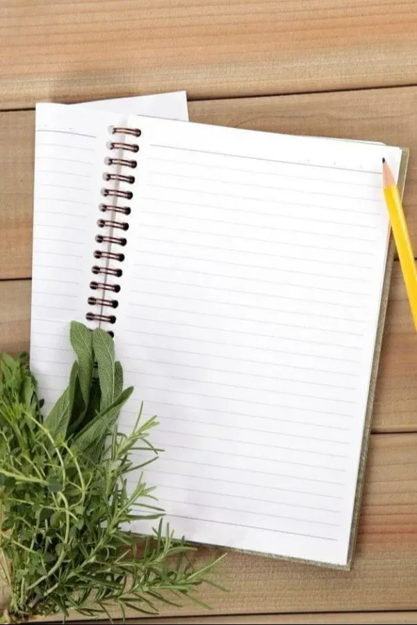 Spiral_Notebook_Cute_Cat_Print_Pack_Of_2