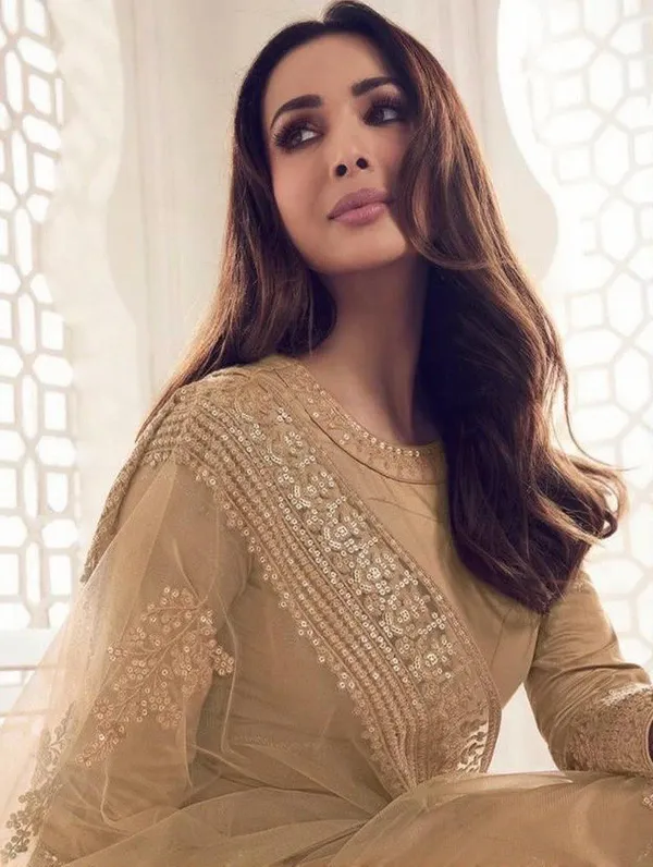 Beige_Georgette_Embroidered_Anarkali_Suit_Set_For_Women