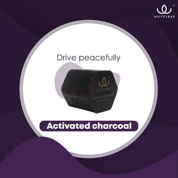 Activated_Coconut_Charcoal_Car_Air_Purifier_Deodorizer_Black