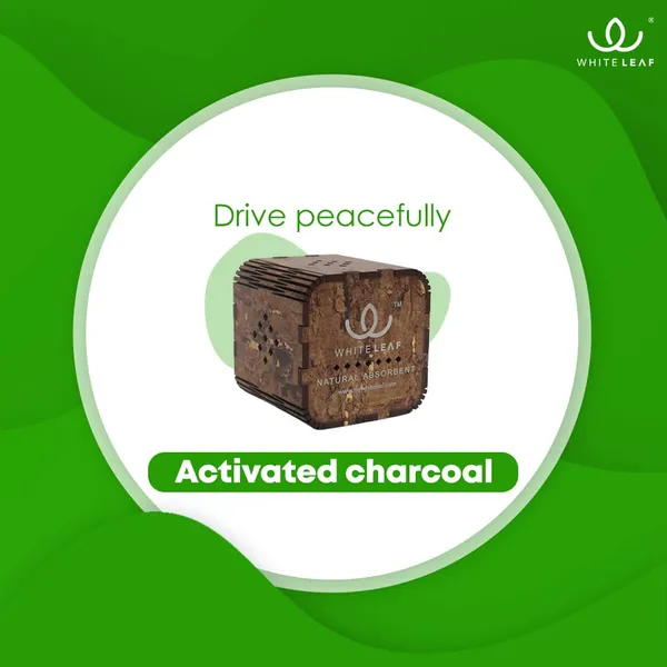 Activated_Coconut_Charcoal_Car_Air_Purifier_Deodorizer