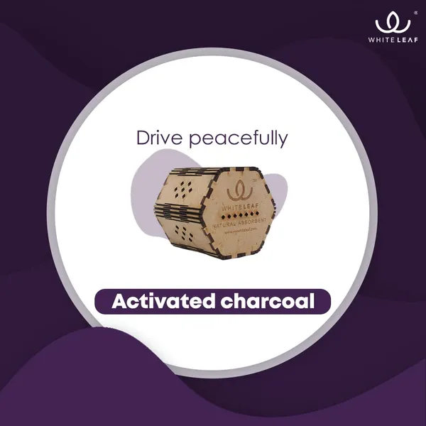 Activated_Coconut_Charcoal_Car_Air_Purifier_Deodorizer_Brown