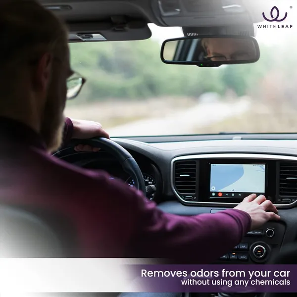 Activated_Coconut_Charcoal_Car_Air_Purifier_Deodorizer_Brown