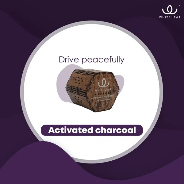 Activated_Coconut_Charcoal_Car_Air_Purifier_Deodorizer_Golden_Brown