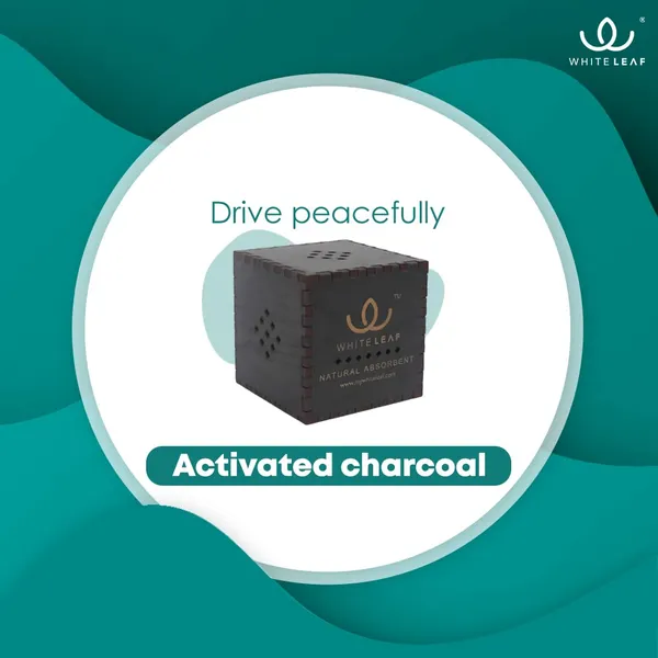 Activated_Coconut_Charcoal_Car_Air_Purifier_Deodorizer_Black