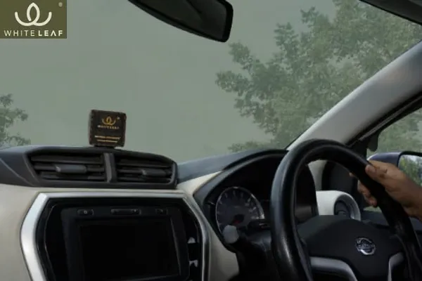 Activated_Coconut_Charcoal_Car_Air_Purifier_Deodorizer_Black