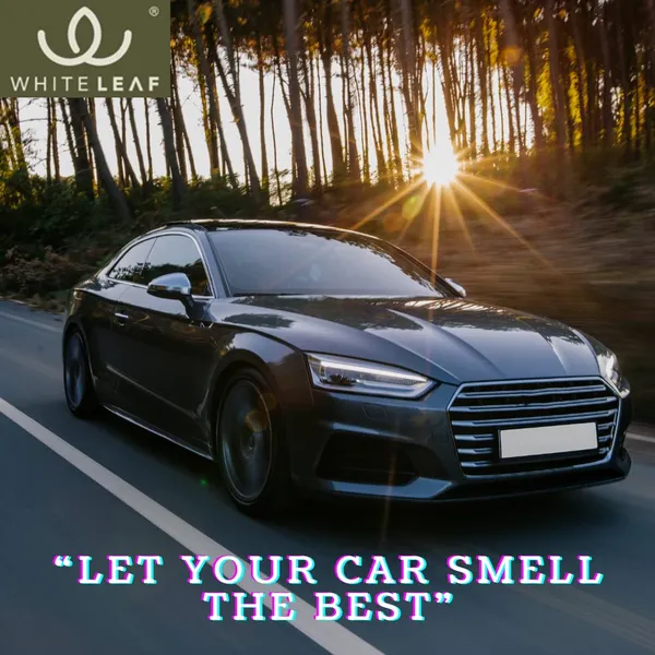 Activated_Coconut_Charcoal_Car_Air_Purifier_Deodorizer_Black