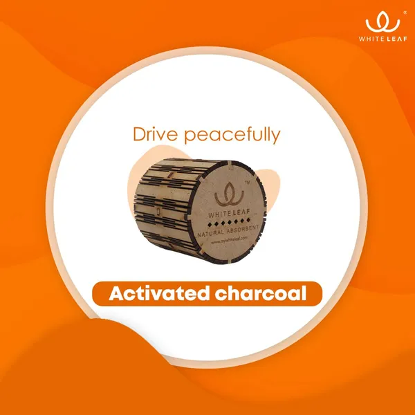 Activated_Coconut_Charcoal_Car_Air_Purifier_Deodorizer_Brown