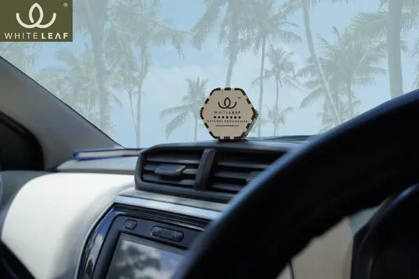 Activated_Coconut_Charcoal_Car_Air_Purifier_Deodorizer_White