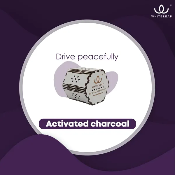 Activated_Coconut_Charcoal_Car_Air_Purifier_Deodorizer_White