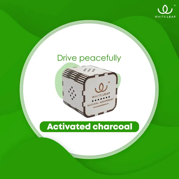 Activated_Coconut_Charcoal_Car_Air_Purifier_Deodorizer_White