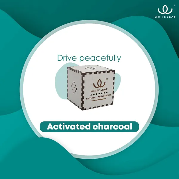 Activated_Coconut_Charcoal_Car_Air_Purifier_Deodorizer_White