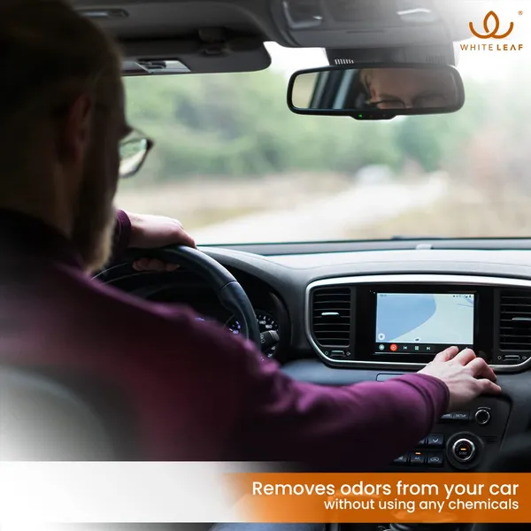 Activated_Coconut_Charcoal_Car_Air_Purifier_Deodorizer_White