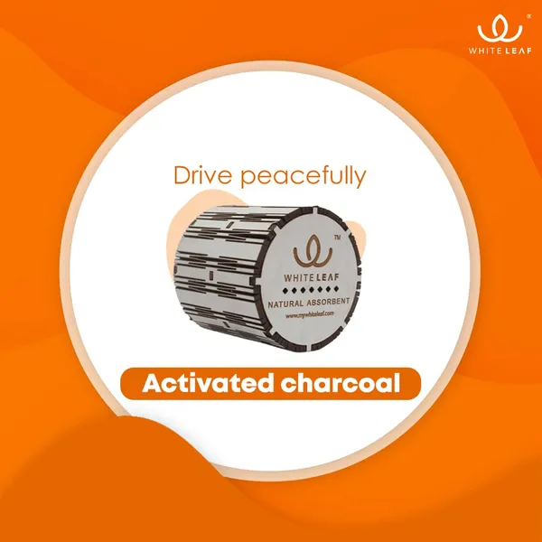 Activated_Coconut_Charcoal_Car_Air_Purifier_Deodorizer_White