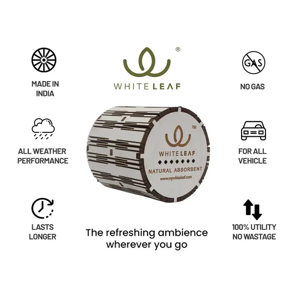 Activated_Coconut_Charcoal_Car_Air_Purifier_Deodorizer_White