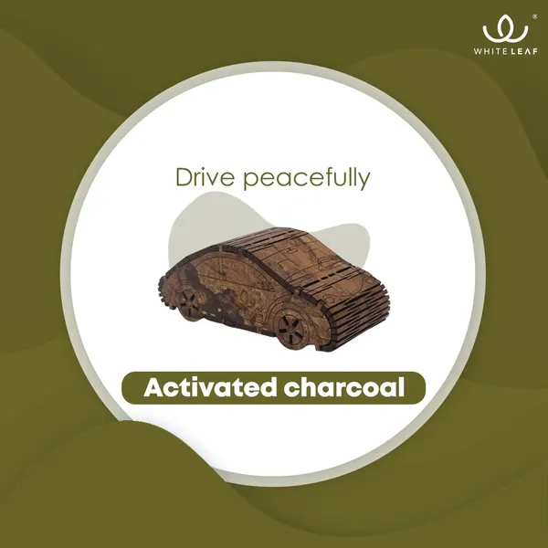 Activated_Coconut_Charcoal_Car_Air_Purifier_Deodorizer_Gold