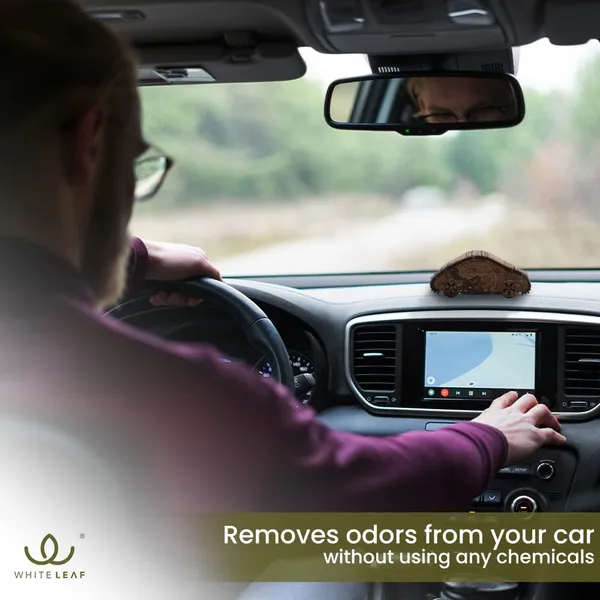 Activated_Coconut_Charcoal_Car_Air_Purifier_Deodorizer_Gold