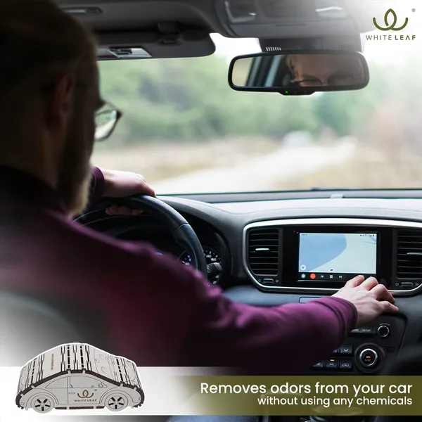 Activated_Coconut_Charcoal_Car_Air_Purifier_Deodorizer