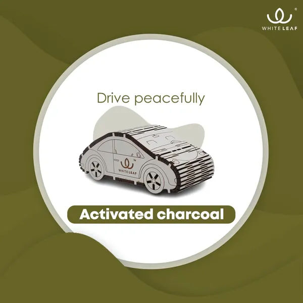 Activated_Coconut_Charcoal_Car_Air_Purifier_Deodorizer
