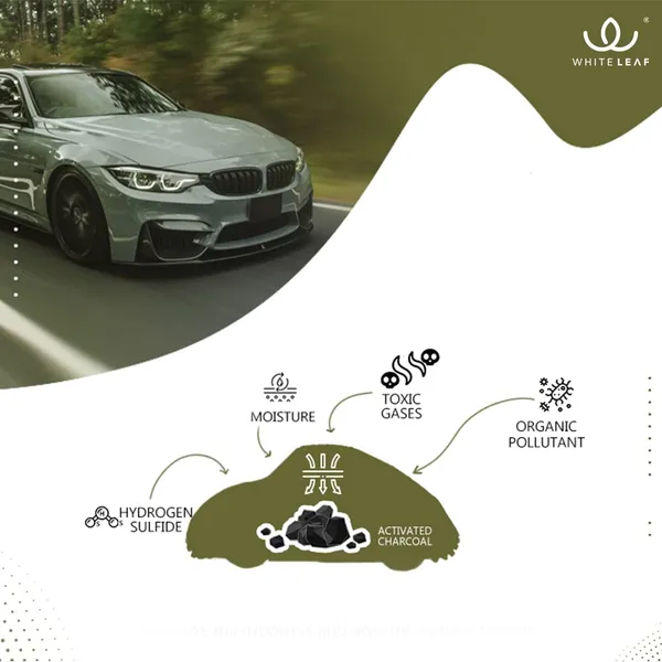 Activated_Coconut_Charcoal_Car_Air_Purifier_Deodorizer
