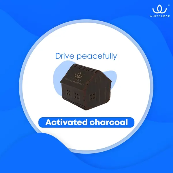 Activated_Coconut_Charcoal_Car_Air_Purifier_Deodorizer_Black